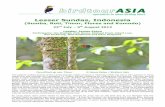 (Sumba, Roti, Timor, Flores and Komodo) - birdtourasia.com Reports/Birdtour Asia Lesser Sundas 2012.pdf · marsh produced a vagrant Hardhead and Pied Heron from Australia, with more