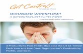 011 01 05 getcontrol net Wounded Workflow White Paper · WOUNDED WORKFLOW! A GETCONTROL.NET WHITE PAPER BY MIKE SONG AND BILL KIRWIN: info@getcontrol.net 4 Productivity Pain Points