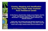 Cloning, Mapping and Identification of the Rpp1-Rpp5 Asian ... · Cloning, Mapping and Identification of the Rpp1-Rpp5 Asian Soybean Rust Resistance Genes Jenelle Meyer11, Danielle