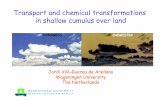 Transport and chemical transformations in shallow cumulus over … · Diurnal cycle of shallow cumulus convection over land (Brown et al. 2002) Studying this situation by means of