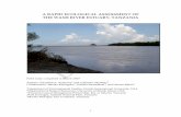 THE WAMI RIVER ESTUARY, TANZANIA · Wami River forms a large freshwater plume that extends for several hundred meters out into the Indian Ocean during both low and high tides. The