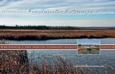 Wisconsin’s Freshwater Estuary Initiative - UW-Exclean-water.uwex.edu/pubs/pdf/estuaries.pdf · stewardship of Wisconsin’s freshwater estuaries. A key component of the initiative