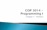 Chapter 7 Pointers - Florida State Universitylacher/courses/COP3330/COP3014_Chap_7_Pointers.pdf · Pointer declarations use * following the type to declare. In a declaration, * isn’t