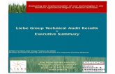 Final audit - executive summary - The Liebe Group · Executive Summary GRDC Funded Liebe Group Project LIE 00005 ... innovation, information collection, small-scale testing, scaling