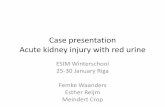 Case presentation Acute kidney injury with red urinesite-66678.mozfiles.com/files/66678/Case_Netherlands.pdfCase presentation Acute kidney injury with red urine ESIM Winterschool 25-30