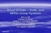 Blood Groups Duffy, and MNSs Group Systems - UCLApathology.ucla.edu/workfiles/Education/Transfusion Medicine/5A... · Blood Groups –Duffy, and MNSs Group Systems Qun Lu, MD Assistant