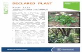 DECLARED PLANTpir.sa.gov.au/__data/assets/word_doc/0012/240006/arum... · Web viewDECLARED PLANT Arum lily Zantedeschia aethiopica January 2015 Arum lily is a perennial herb growing