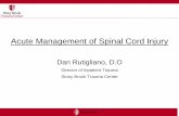 Acute Management of Spinal Cord Injury · Acute Management of Spinal Cord Injury Dan Rutigliano, D.O Director of Inpatient Trauma Stony Brook Trauma Center