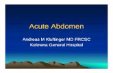 1510 Kluftinger - Acute Abdomen - rccbc.ca filePossible Causes of Pain by Location Location of Pain Associated Diseases Right upper quadrant (liver, kidney, gallbladder) Acute cholecystitis,