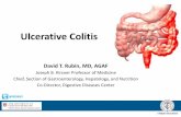 Ulcerative Colitis - Amazon S3 · Learning Objectives At the conclusion of this presentation, participants will: • Recognize the common presentation and progression of ulcerative