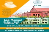 Lab Manual B.Sc. (CA) Manual Design Committee: Prof. Mohammad Ubaidullah Bokhari Dr. Arman Rasool Faridi Dr. Faisal Anwar Dr. Aasim Zafar (Convener) Editor: Dr. Aasim Zafar Design