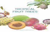 TROPICAL FRUIT TREES - Kauai Nursery & Landscapingkauainursery.com/images/Fruitbook.pdf · 5 TREE SIZE A large shrub or small tree ECOLOGY Laurel prefers well drained soils and full