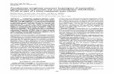 Pseudomonas aeruginosa dehydratase/ DCoHas partofaropath.org/Publications/pdf_files/172_zhao.pdf · homologues ofmammalian 4a-carbinolamine dehydratase/ DCoHandaromatic aminotransferase.*