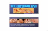 External ear (A. Prof. Hany El-Garem) - Alexorlalexorl.edu.eg/alexorlfiles/DownLoad Lectures/Ear/External ear (A... · appearing brown cerumen KERATOSIS OBTURANS. 28 Prof. Dr. Farouk