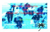 Human Genome and Human Genome Project - Bioinformatics … Genome.pdf · • The human genome's gene-dense "urban centers" are in nucleotides G and C. • In contrast, the gene-poor