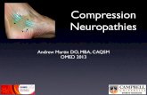 Compression Neuropathies Neuropathies • Spinal Accessory Nerve • Upper/Lower Trunk Plexopathy • Long Thoracic Nerve • Axillary Nerve • Suprascapular Nerve • Musculocutaneous