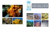 CLASSIFICATION OF BENTHIC MARINE HABITAT TYPES …rac-spa.org/sites/default/files/doc_fsd/lchm_en.pdf · CLASSIFICATION OF BENTHIC MARINE HABITAT ... classification of marine habitat