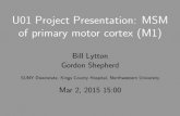 U01 Project Presentation: MSM of primary motor cortex (M1) · U01 Project Presentation: MSM of primary motor cortex ... ABI Brain research ... U01 Project Presentation: MSM of primary