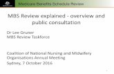 MBS Review explained - overview and public consultation · MBS Review explained - overview and public consultation Dr Lee Gruner MBS Review Taskforce Coalition of National Nursing