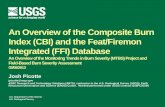 An Overview of the Composite Burn Index (CBI) and the Feat ... · Index (CBI) and the Feat/Firemon Integrated (FFI) Database An Overview of the Monitoring Trends in Burn Severity
