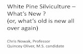 White Pine Silviculture What’s New ? (or, what’s … Oliver Silviculture White...White Pine Silviculture – What’s New ? (or, what’s old is new all over again) Chris Nowak,