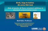 Birds, bugs & babies (& some fish too) - vims.edu 2015 bees... · Polyvinylidene chloride (PVDC) (Saran) ... Plastics - injection molding Additives - 1000s Flame retardants (FRs)