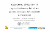 Resources allocation in reproductive rabbit does · Resource allocation in reproductive rabbit does: genetic strategies for a suitable performance J.J. Pascual, C. Cervera, M. Baselga