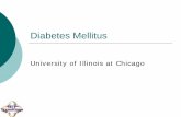 Diabetes Mellitus - mfpweb.nursing.uic.edu · Diabetes Facts {Diabetes currently affects 246 million people worldwide and is expected to affect 380 million by 2025. {7 million people