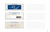 Nematodaadamoliverbrown.com/.../2019/02/10-Nematoda_2019_3slides.pdf1 BIO2135 –Animal Form and Function Nematoda Miller and Harley Chap. 13 BIO2135 –Animal Form and Function NematodaPhylogeny