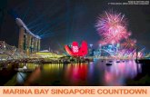 MARINA BAY SINGAPORE COUNTDOWN - ida-downtown.org · Marina Bay Singapore Countdown is the nation’s most iconic New Year’s Eve celebration for the community supported by multiple