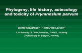 Phylogeny, life history, autecology and toxicity of ... life history, autecology and toxicity of Prymnesium parvum Bente Edvardsen1,2 and Aud Larsen3 1 University of Oslo, Norway,