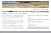 Coastal Vegetation and Sand dunes Page 2 COASTAL VEGETATION AND SAND DUNES FACT SHEET NO. 0104 Protection of the dunes To maintain the health of our coastal foredunes it is important