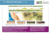7. Sand Dunes – 1. Sand Dunes – 1 Sand Dunes: The psammosere (plant succession pioneer species to climax hundred years, but occurs over only a few hundred metres of shoreline.