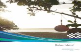 Boigu Island - Torres Strait Island Region -7.2.2 Boigu Island - local plan code.pdf · Boigu Island • Some of the biggest challenges on Boigu Island are housing availability, lack