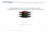 Guidelines for Consultation and Collaborative Maternity ... · Expected Pathways of Care for ... 16/09/2014 Guidelines for Consultation and Collaborative Maternity Care Planning ...