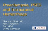Preeclampsia, PRES and Intracranial Hemorrhage of Preeclampsia.pdf · Preeclampsia, PRES and Intracranial Hemorrhage Shannon Clark, MD ... pathways are possible . ... Preeclampsia/eclampsia