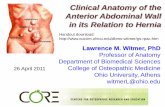 Clinical Anatomy of the Anterior Abdominal Wall in its ... · Clinical Anatomy of the Anterior Abdominal Wall in its Relation to Hernia Lawrence M. Witmer, PhD Professor of Anatomy