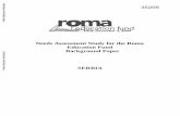 Needs Assessment Study for the Roma Education Fund ... fileNeeds Assessment Study for the Roma Education Fund ...