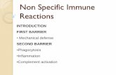 Non Specific Immune Reactions - Norazli@CUCSTnorazlicucst.weebly.com/uploads/7/6/3/2/7632139/7._non_specific_immune... · Non Specific Immune Reactions INTRODUCTION FIRST BARRIER