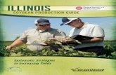 SOYBEAN PRODUCTION GUIDE The opportunity to increase soybean yields is at the fingertips of every soybean farmer in Illinois. It begins with understanding the needs of the soybean,