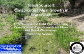 Conspicuous Algal Growth in Waterways - CeRDI Algal Growth in Waterways... · Algal Form, in the field •To find out the form, the observer needs to use visual clues (shape, size,