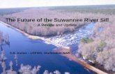 The Future of the Suwannee River Sill - USGS · The Future of the Suwannee River Sill A Review and Update S.B. Aicher – USFWS, Okefenokee NWR. Downstream Flows Water Quality Ground-water