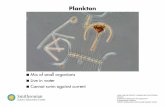 Plankton - ssec.si.edu filePlankton. n. Mix of small organisms. n. Live in water. n. Cannot swim against current. HOW CAN WE PREDICT CHANGE IN ECOSYSTEMS? Plankton Smithsonian Science
