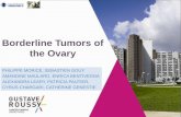Borderline Tumors of the Ovary - file.trsgo.orgfile.trsgo.org/pdf/2018/kongre2018/59.pdf · MUCINOUS BOT Intestinal (most frequent) - 98% unilateral (if bilateral: exploration of