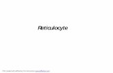 reticulocyte - medsab.ac.ir · B=Na2HPo4 (150mmol/L) 21.3g/l • 66 ml A + 34 ml B • 1part citrate sodium 30g/l + 4 part NaCl 9 g/l • Lifespan of stain is one month • PDF created