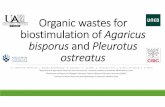 Organic wastes for biostimulationof Agaricus bisporus ...uest.ntua.gr/naxos2018/proceedings/presentation/09-SessionXX.pdf · •Samples were packed in a 4 mm diameter zirconium rotor