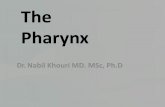 Pharynx - medicinebau.com · Introduction •The pharynx is the Musculo-fascial half-cylinder that links the oral and nasal cavities in the head to the larynx and esophagus in