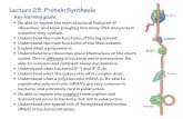Lecture 25: Protein Synthesis - University of Washingtonfaculty.washington.edu/merza/pdf/merz_L25h.pdf · Lecture 25: Protein Synthesis Key learning goals: • Be able to explain