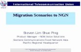 Migration Scenarios to NGN - TT · Migration Scenarios to NGN ... Hanoi, Vietnam, 15-16 May 2006 9 ITU-T Migration Scenario – Class 5 TDM Network ... Eelco Blok, KPN managing board
