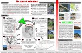 Sense of Naturalnesseprints.utm.my/id/eprint/2586/1/Microsoft_Word_-_compile_for_PDFing2.pdf · (Prince Philip. Park) and Bukit Padang (Bukit Padang Recreational park). analyti':